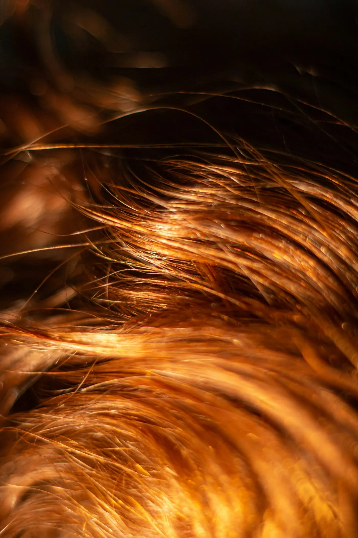 Close-up of fine, shiny hair